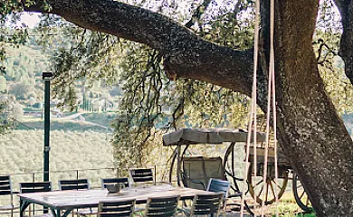 Finca Heredad La Boquilla en Enguera (Valencia) - Foto 4