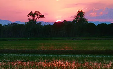 Isla de buda en Deltebre (Tarragona) - Foto 7