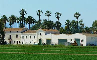 Isla de buda en Deltebre (Tarragona) - Foto 2