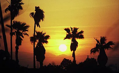 Isla de buda en Deltebre (Tarragona) - Foto 9