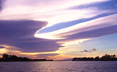 Isla de buda en Deltebre (Tarragona) - Foto 5