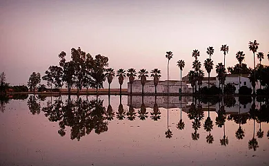 Isla de buda en Deltebre (Tarragona) - Foto 1