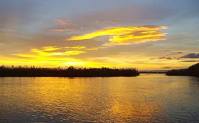 Isla de buda en Deltebre (Tarragona) - Foto 6