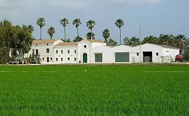 Isla de buda en Deltebre (Tarragona) - Foto 18