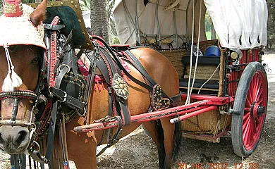 Isla de buda en Deltebre (Tarragona) - Foto 20