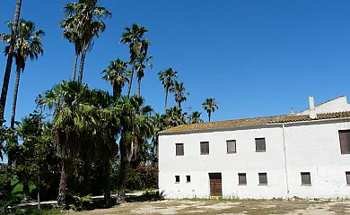 Isla de buda en Deltebre (Tarragona) - Foto 3