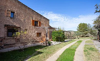 Hort de Sa Begura en Sant Llorenç Des Cardassar (Baleares) - Foto 1