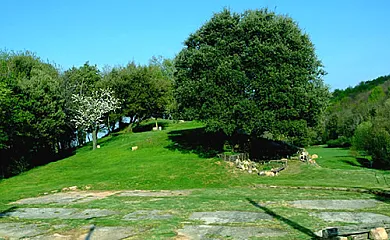 Mas Vilarmau en Viladrau (Girona) - Foto 12