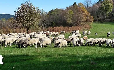 Mas Vilarmau en Viladrau (Girona) - Foto 17
