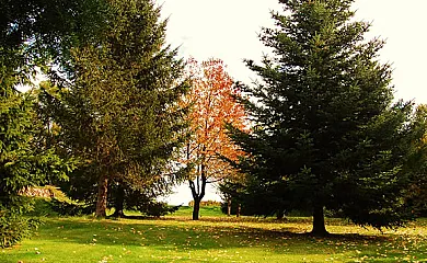 Mas Vilarmau en Viladrau (Girona) - Foto 21