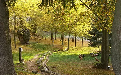 Mas Vilarmau en Viladrau (Girona) - Foto 23