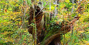 Casa Rural Sierra de Urbasa 0019