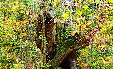 Casa Rural Sierra de Urbasa en Urra (Navarra) - Foto 19
