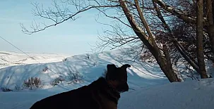 Masía el Cabrero 0013