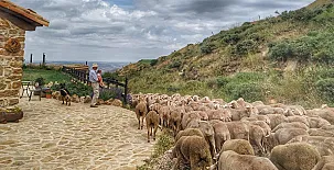 Masía el Cabrero 0017
