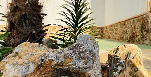 Casa Rural El Patas 0026