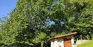 Apartamentos Rurales La Caviana 009