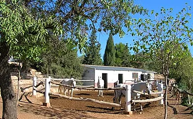 El Regajo en Ayora (Valencia) - Foto 6