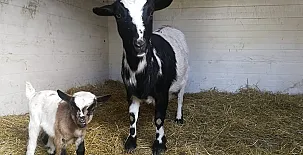 Paraíso del Tiétar 0023