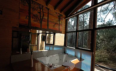 Paraíso del Tiétar en La Adrada (Ávila) - Foto 24