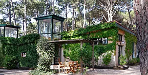 Paraíso del Tiétar 0037