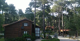 Paraíso del Tiétar 0043