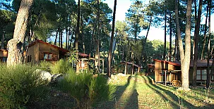 Paraíso del Tiétar 0044