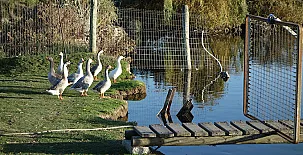 Casas de Bermudillo 004