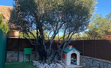 Alojamiento rural Samburiel en Becerril de la Sierra (Madrid) - Foto 4