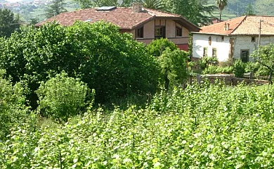 Labeondo en Muskiz (Vizcaya) - Foto 11