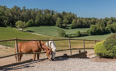 Cal Carulla en Pujalt (Barcelona) - Foto 4