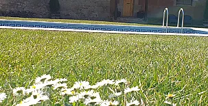 Alojamientos rurales Casa Canellas 004