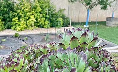 La Ren Lecrés en Vadocondes (Burgos) - Foto 22