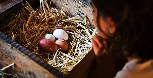 El Corral del Lladurs 0045