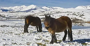Vivienda Rural El Palacio del Campo 004