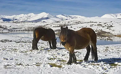 Vivienda Rural El Palacio del Campo en Campoo De Yuso (Cantabria) - Foto 4