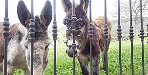 Vivienda Rural El Palacio del Campo 0011