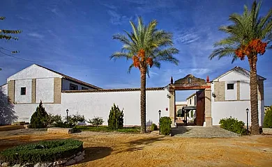 Cortijo San Francisco en Aguilar de la Frontera (Córdoba) - Foto 4