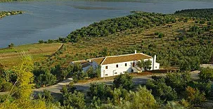 Casa Rural El Olivar 003