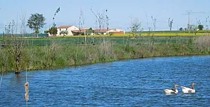 La Huerta El Tordo 002