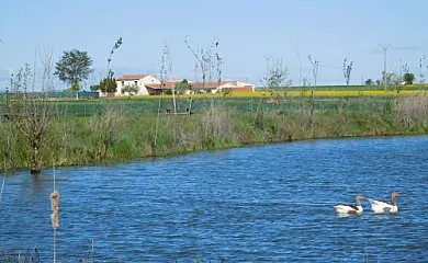 La Huerta El Tordo en Manganeses de la Lampreana (Zamora) - Foto 2