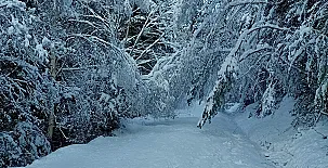 Apartamentos Lardiés 006