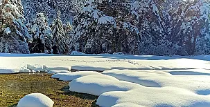 Apartamentos Lardiés 007