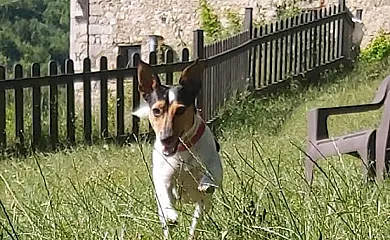 El Molladar en Camprodon (Girona) - Foto 4