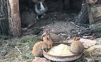 El Castejón de Luzaga en Luzaga (Guadalajara) - Foto 4
