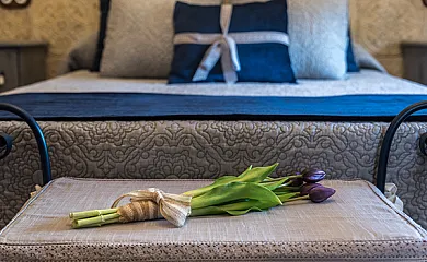 Casa Rural La Musical en Valdenoches (Guadalajara) - Foto 22