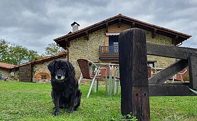 Urkulu Landetxea en Aretxabaleta (Guipuzcoa) - Foto 4