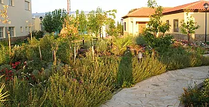 Hotel Sierra Luz 005