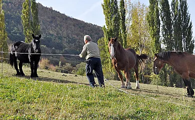 Casa Macia en Roni (Rialp) (Lleida) - Foto 5