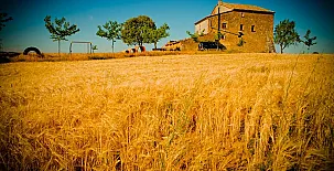 Masía Manonelles 004